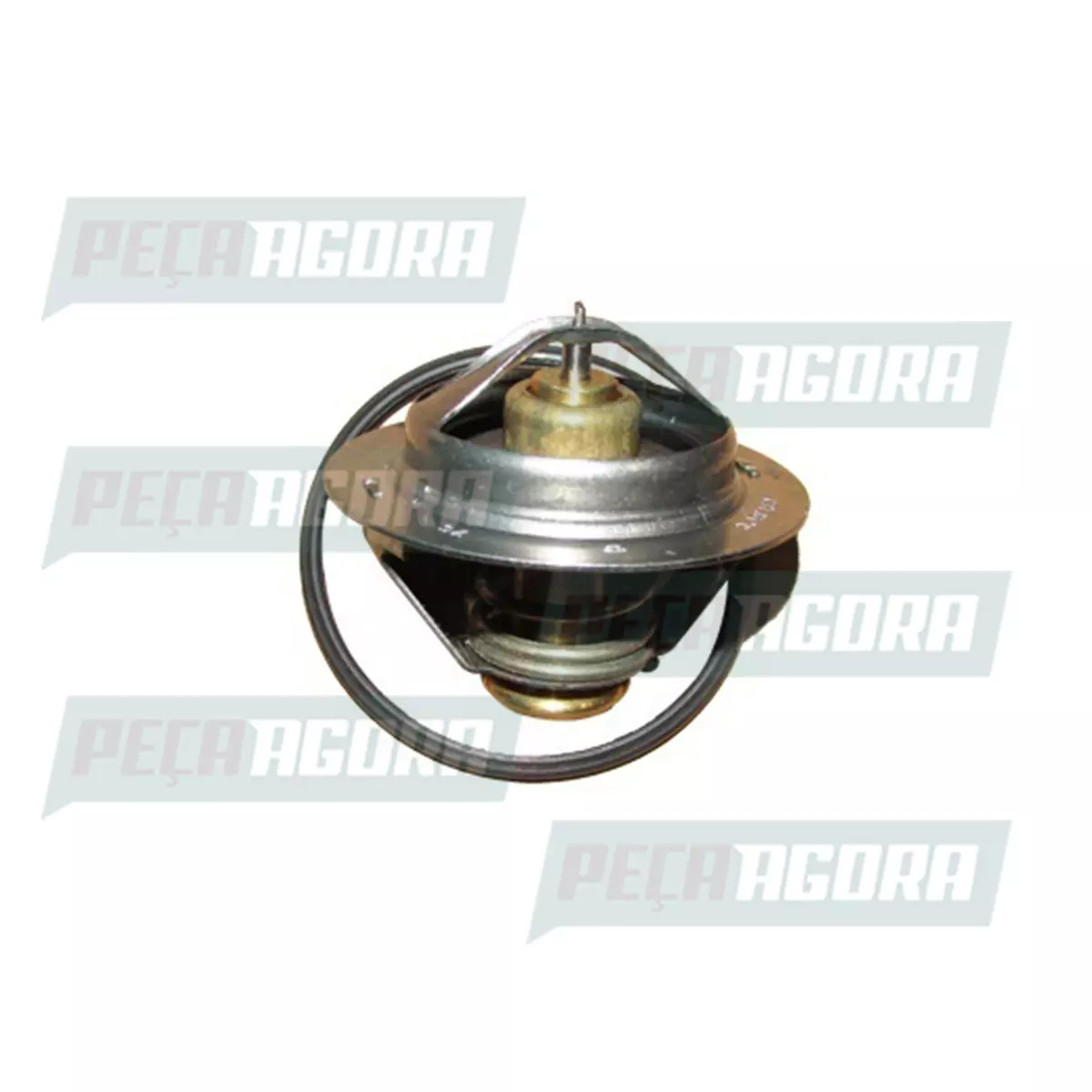 VALVULA TERMOSTATICA MOTOR PARA IVECO EUROCARGO TECTOR VERTIS (504380075,)