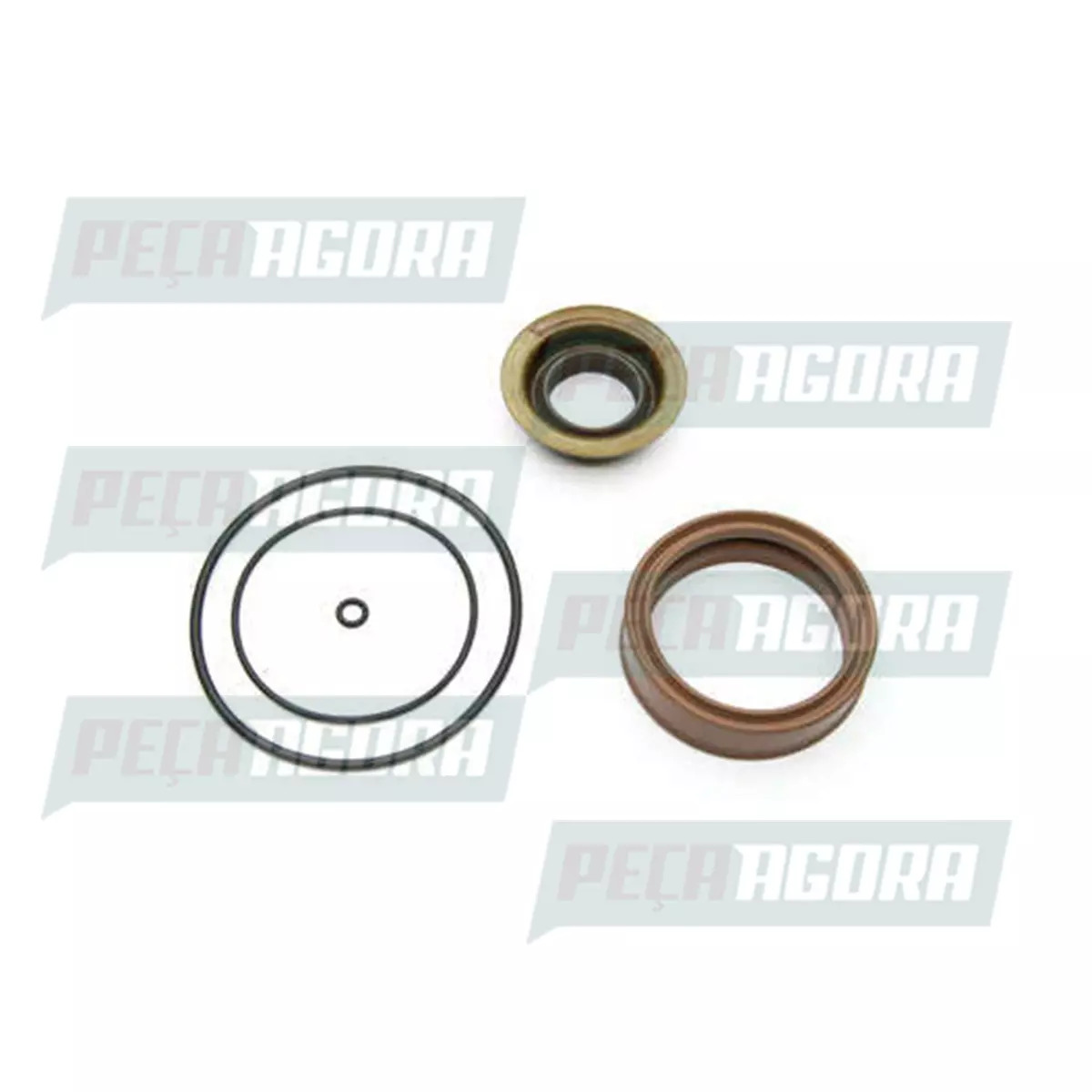 REPARO CANECA REDUZIDA INFERIOR COM RETENTOR ZF16S130 16S160 16S190 16S1650 VW 1