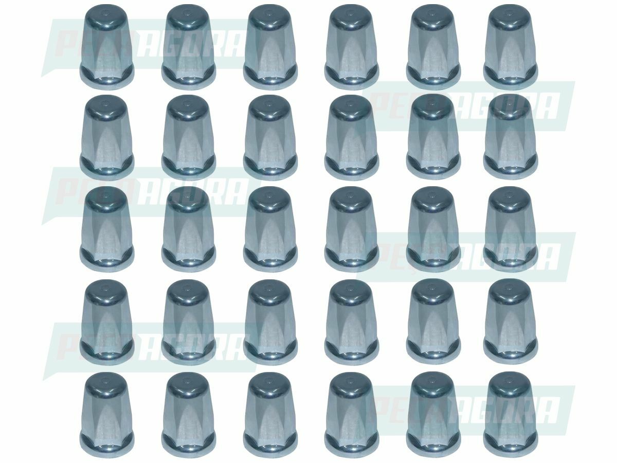 KIT 30 UNIDADES CAPA PORCA RODA CROMADA MINI BELGA 27/32/33 TRACAO (K.00046)