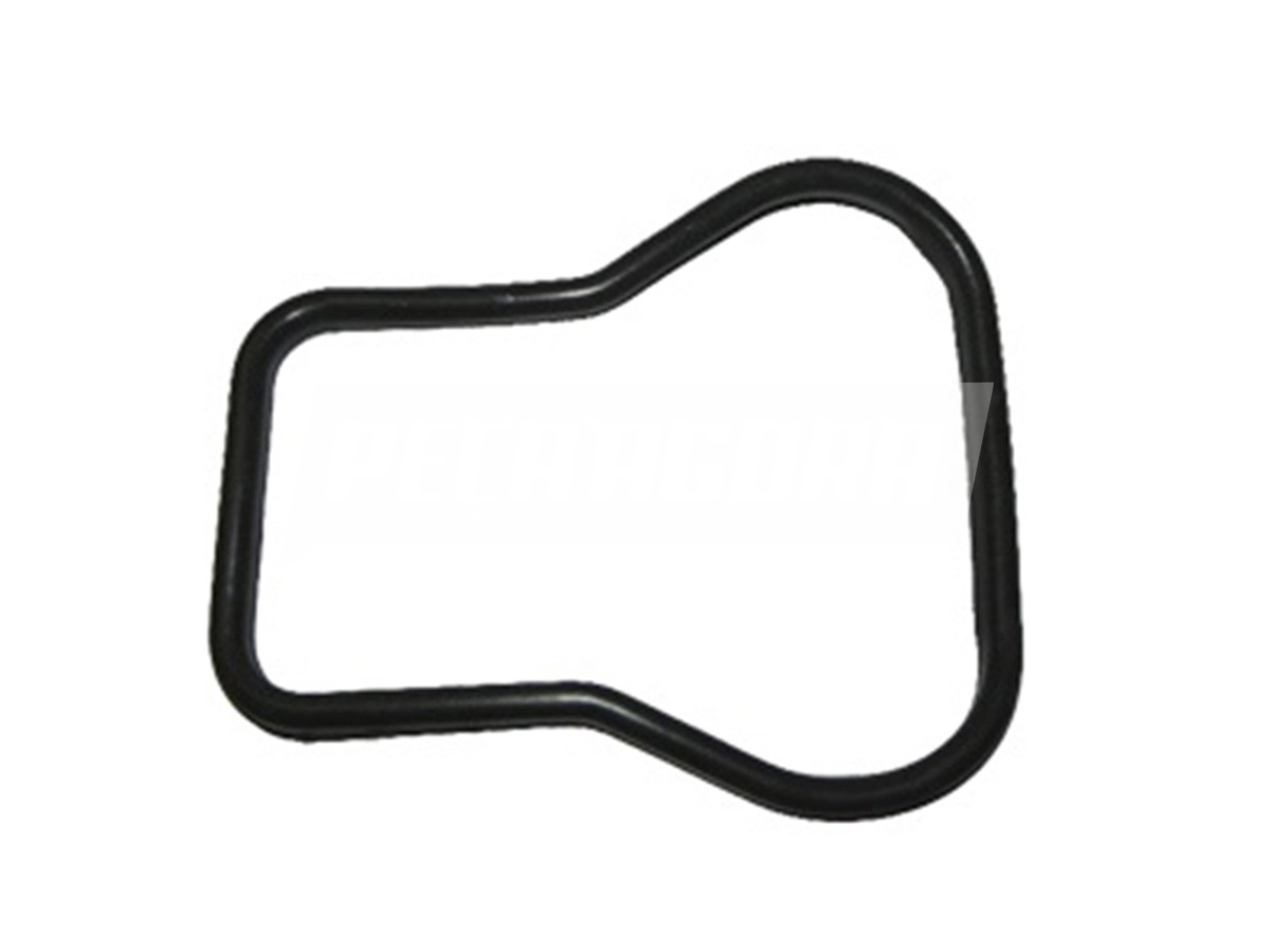 JUNTA TAMPA VALVULA CINZA (TAE103483)