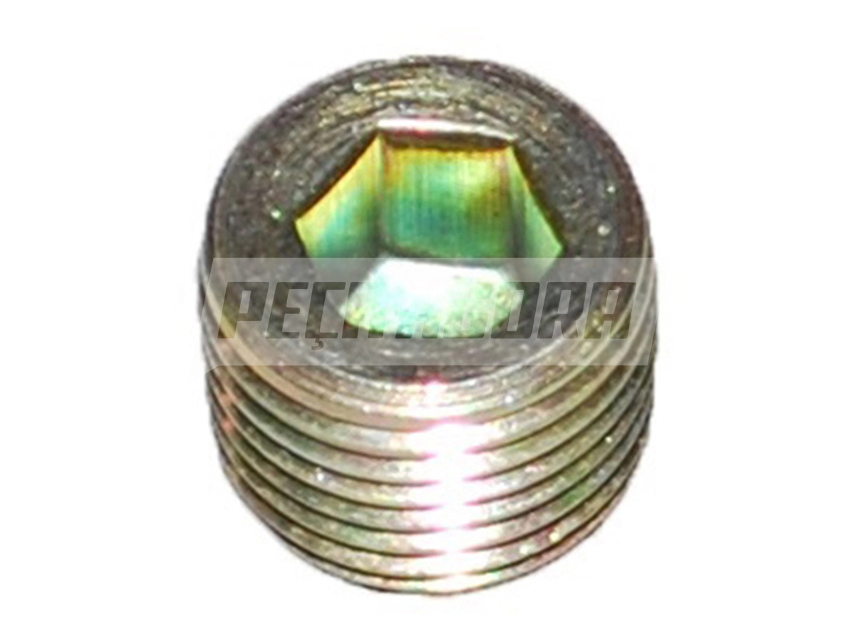 BUJAO BUJAO TAMPA DISTRIBUICAO PARA IVECO TECTOR EUROCARGO 170E21 (602062101010)