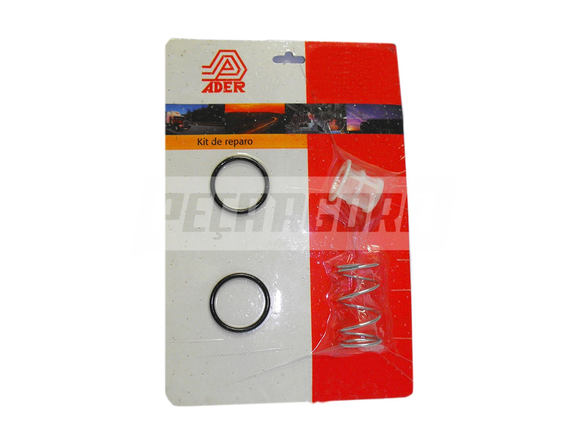 REPARO FILTRO LINHA PNEUMATICA RANDON (210302534)