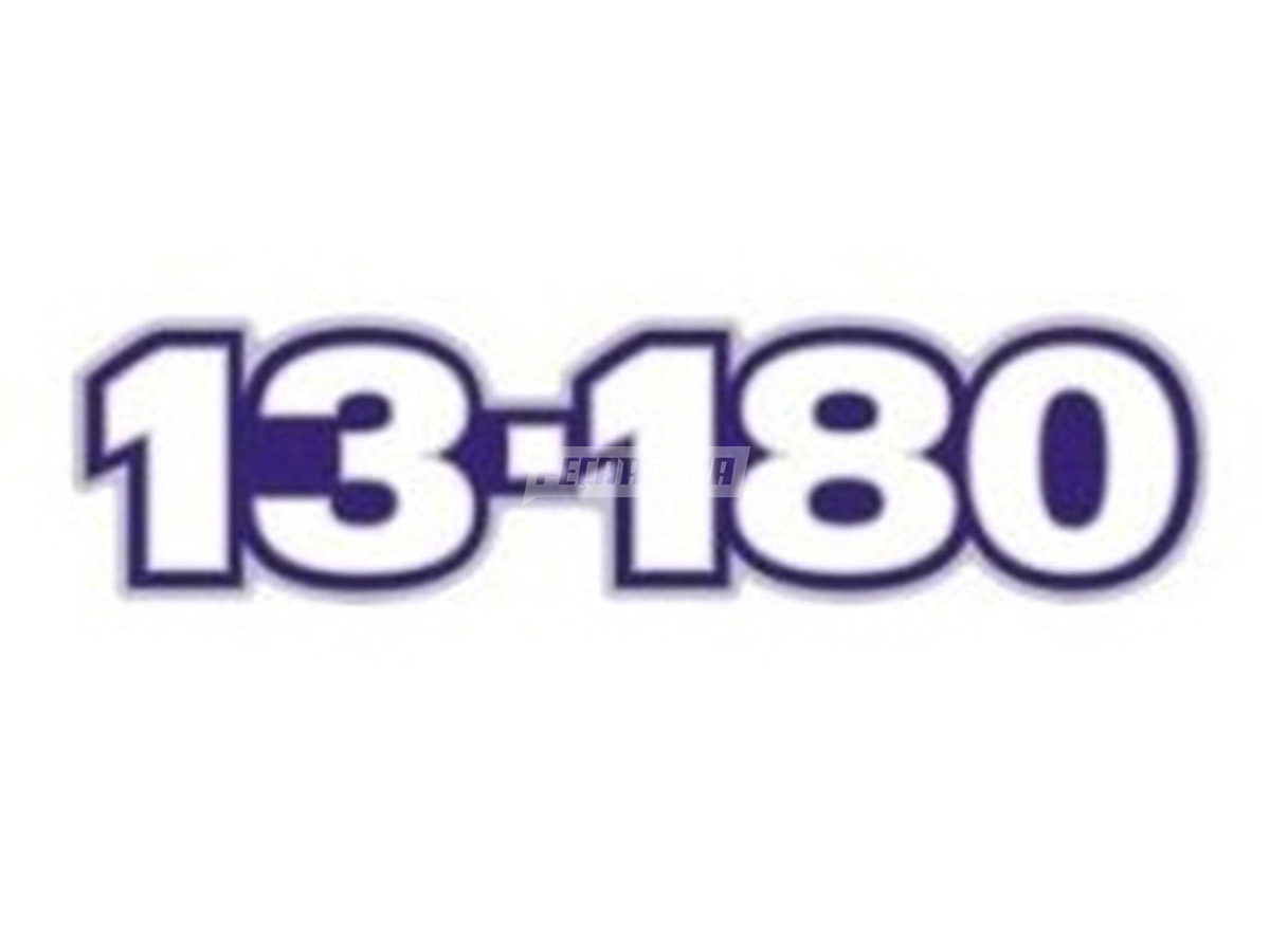 EMBLEMA FRONTAL 13180 WORKER VW 13180 WORKER (2S0854431S)