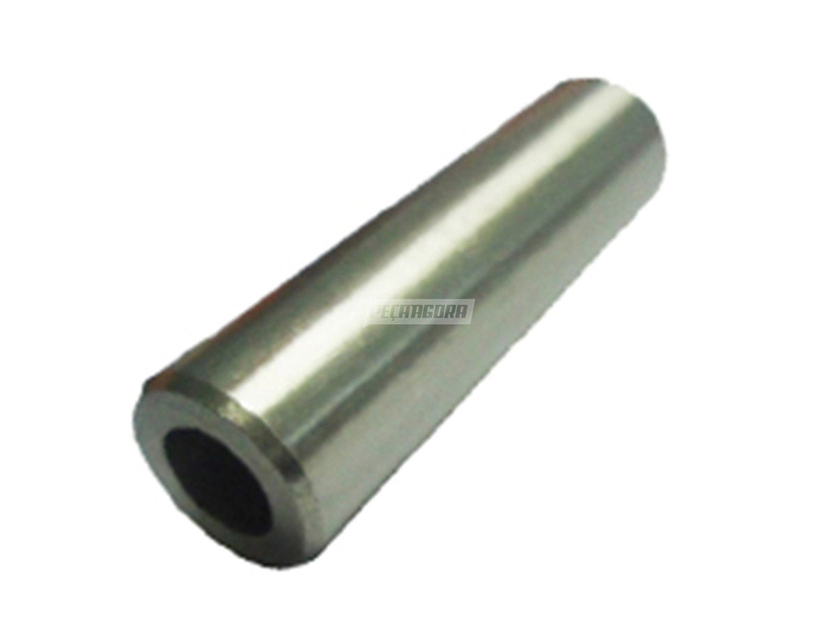 GUIA VALVULA ADMISAO E ESCAPE (BG5X6510AA)