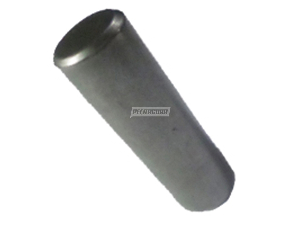 PINO GUIA CARCACA FORD CARGO 712 814 815 915 CÂMBIO FSO4505 (2RD301095)