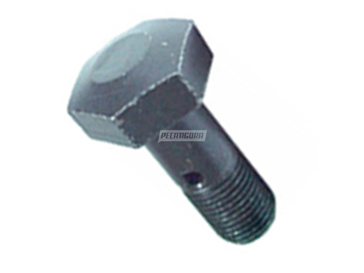 PARAFUSO M10X1X25 OCO BANJO INJETOR OLEO 2 FUROS MB OM366 366A 366LA (3669900063