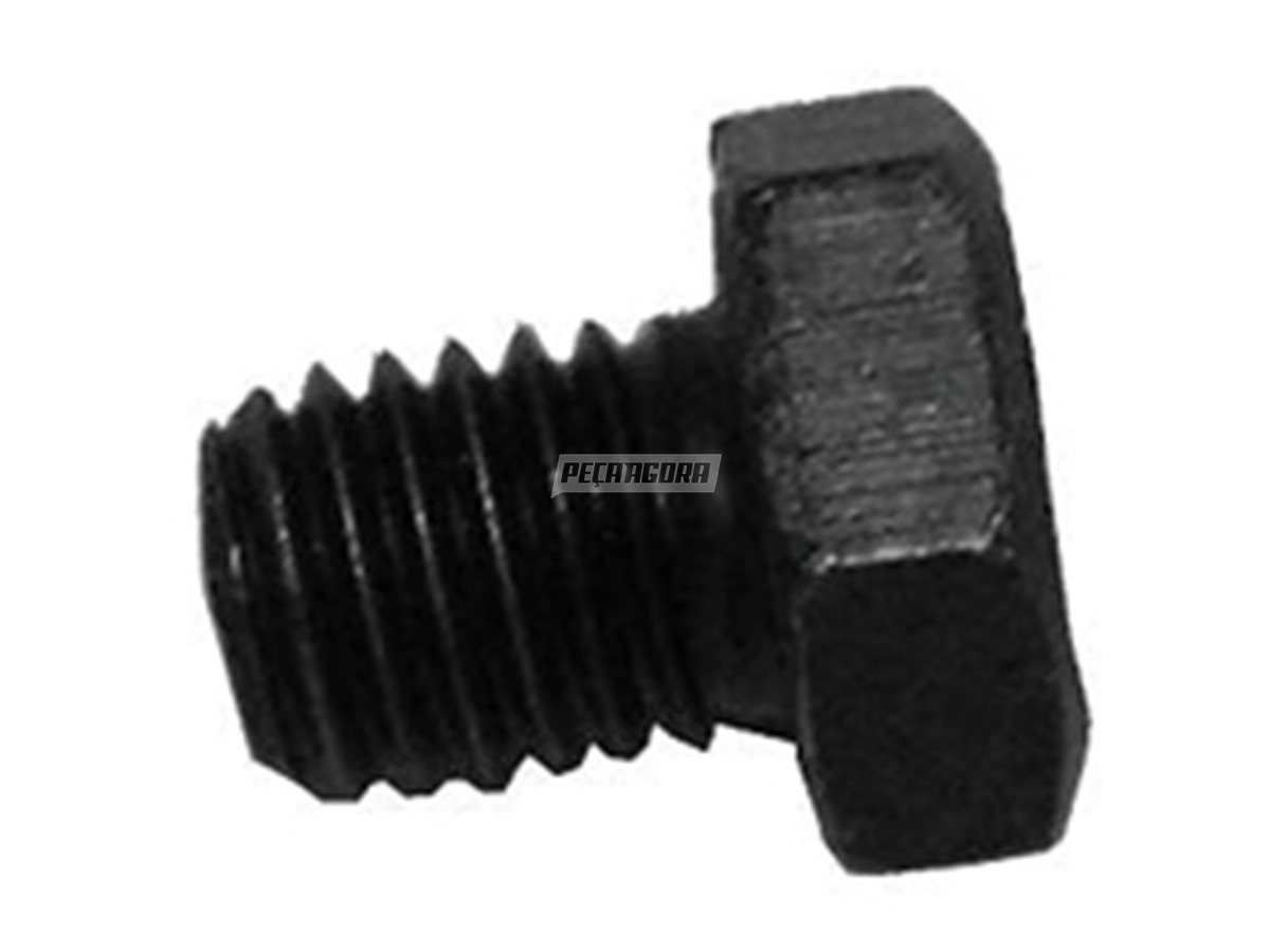 PARAFUSO TAMPA CUBO RODA M8X1,25X12MM (210007378)