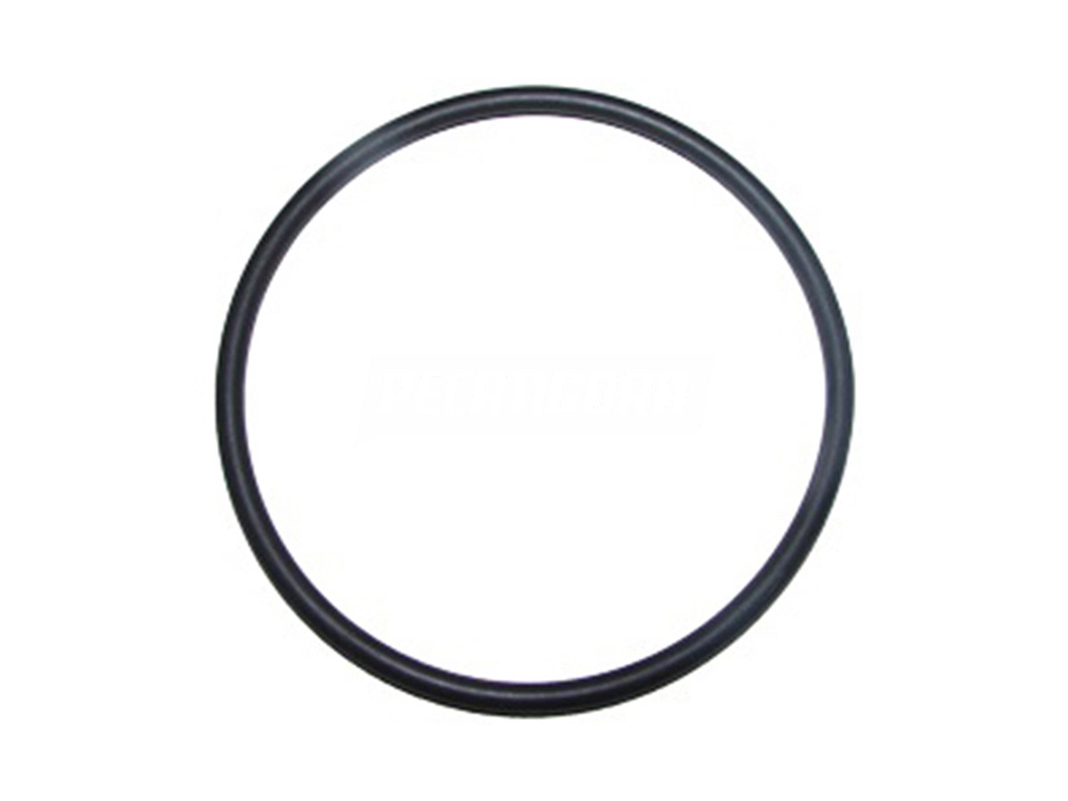 ANEL ORING FLANGE SAIDA VW 19.320 25.320E 26.260E 31.260E 17.330 24.330 31.330 3