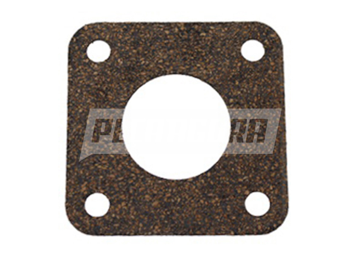 JUNTA TUBO LATERAL CARTER (TJG103609)