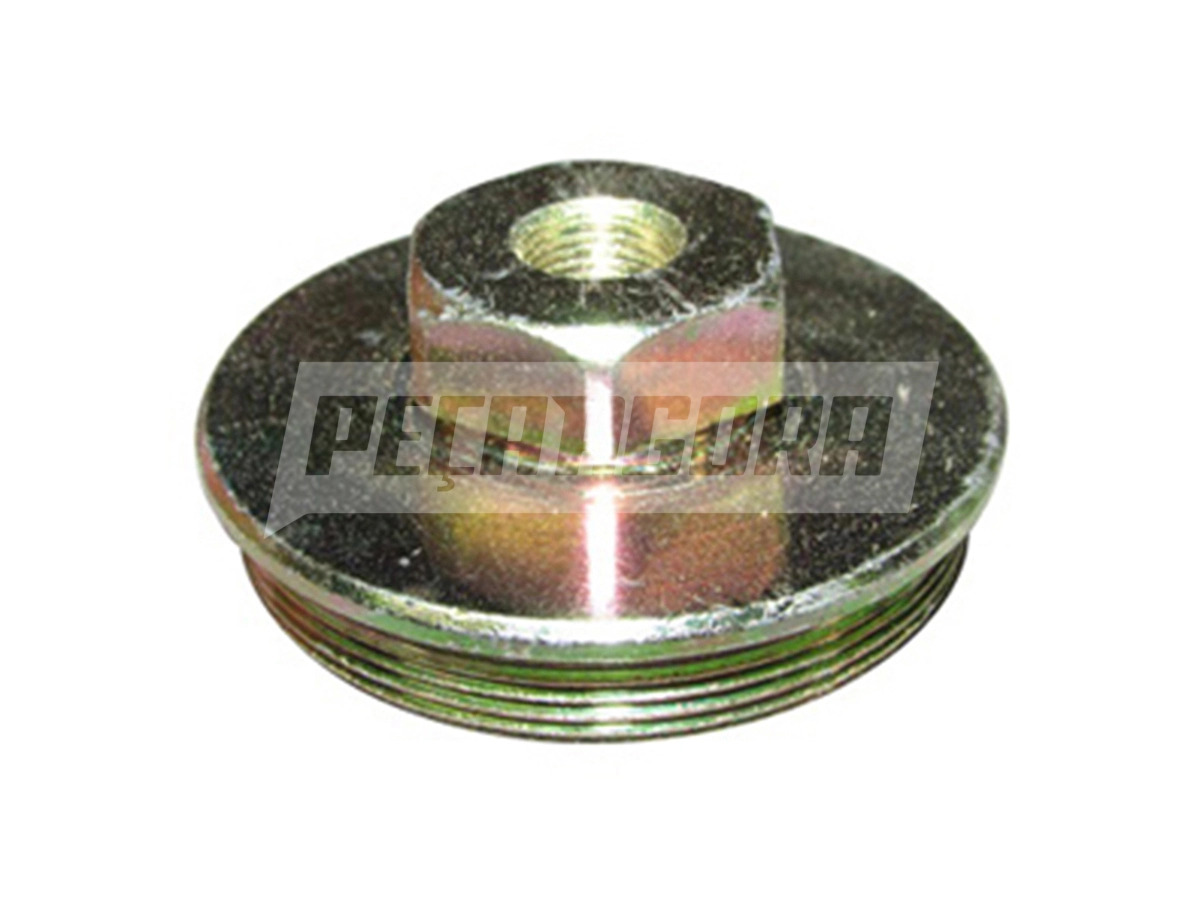 TAMPA MANGA EIXO FORD F14000 HD 92 A 98 (TEG407697)