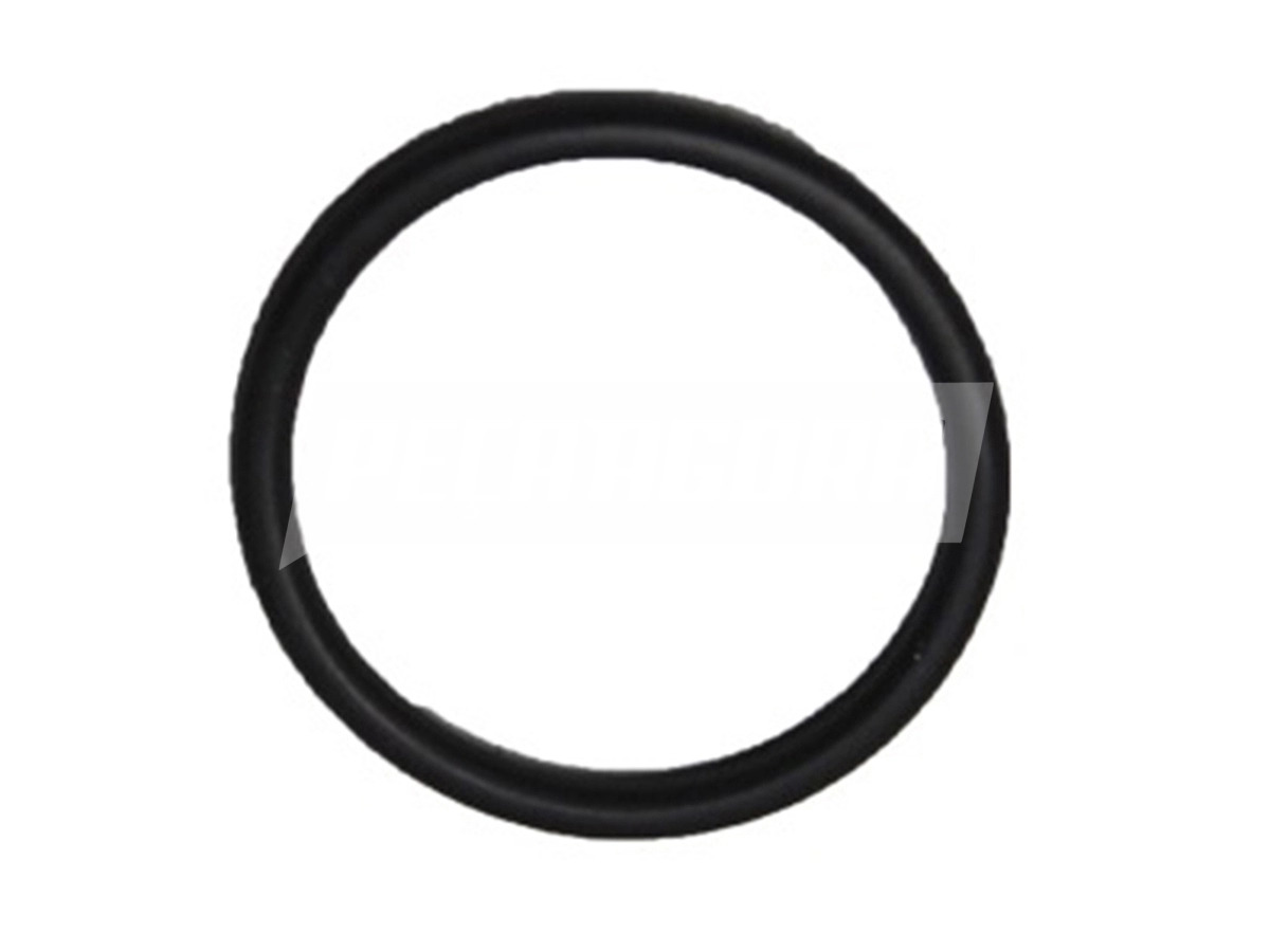 ANEL VEDACAO BOMBA INJETORA CUMMINS VW 17.320 24.320E 17.260EOT 18.320EOT 
 (2T2