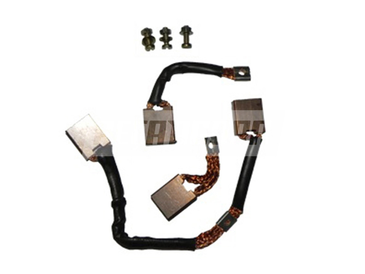 JOGO ESCOVA MOTOR PARTIDA (T2D998601)