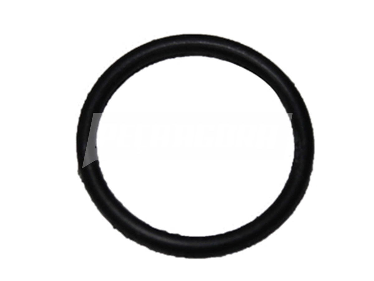 ANEL ORING 22MM ANEL ORING 22MM (1165G)