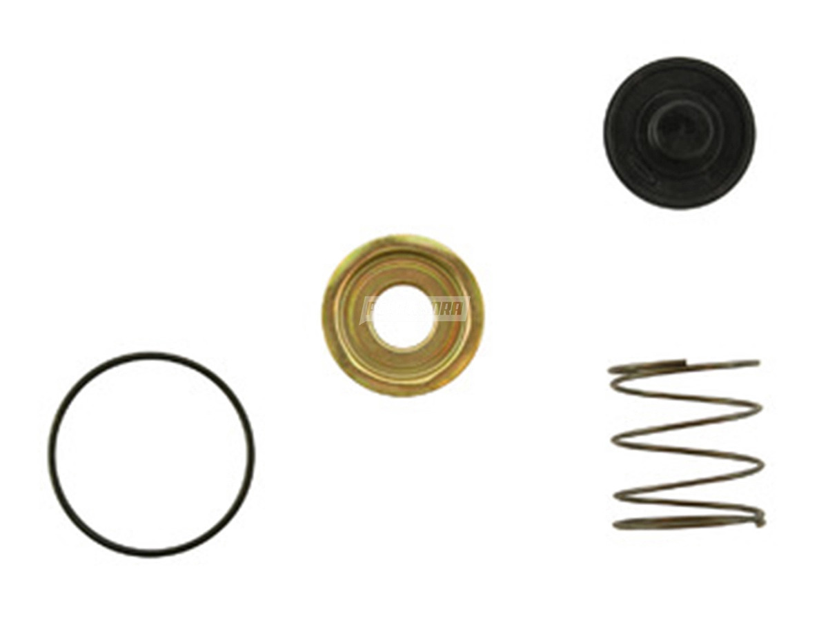 JG.REP.VALVULA DESCARGA (04143880)