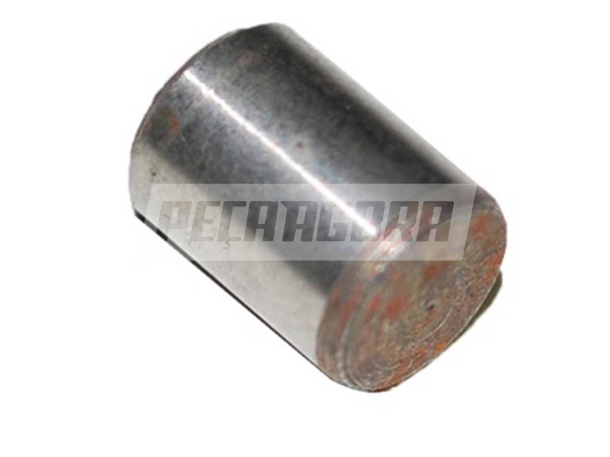 PINO ENGRENAGEM ARVORE MANIVELAS MOTORO CUMMINS 6BTA 6CTAA M6X8MM . (TE3105775,)