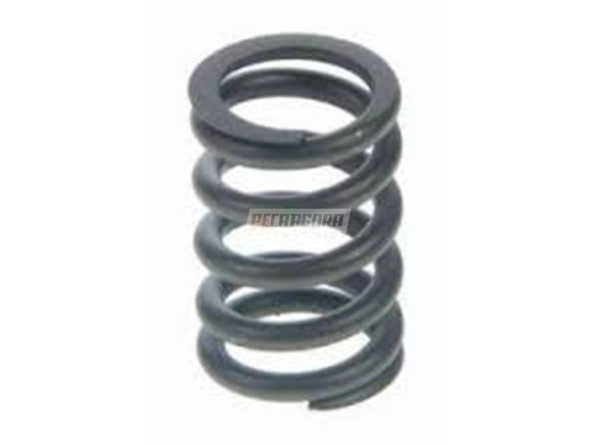 MOLA VALVULA ADMISSAO ESCAPE MOTOR MWM SERIE X10 E X12 VW 12180 13180 15180 1721