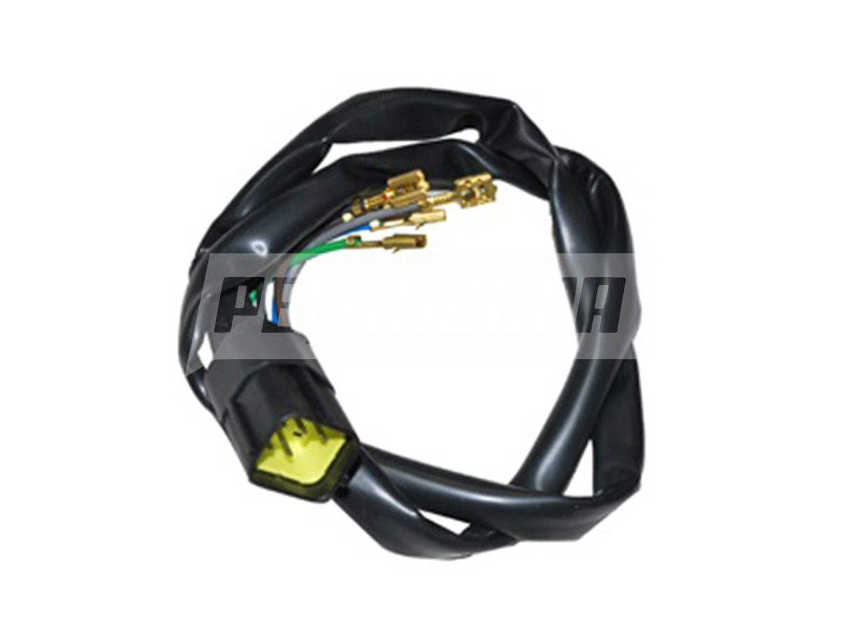 CHICOTE LANTERNA TRASEIRA VW 13190 15190 13170 15170 17300 24220 26300 (2R097101