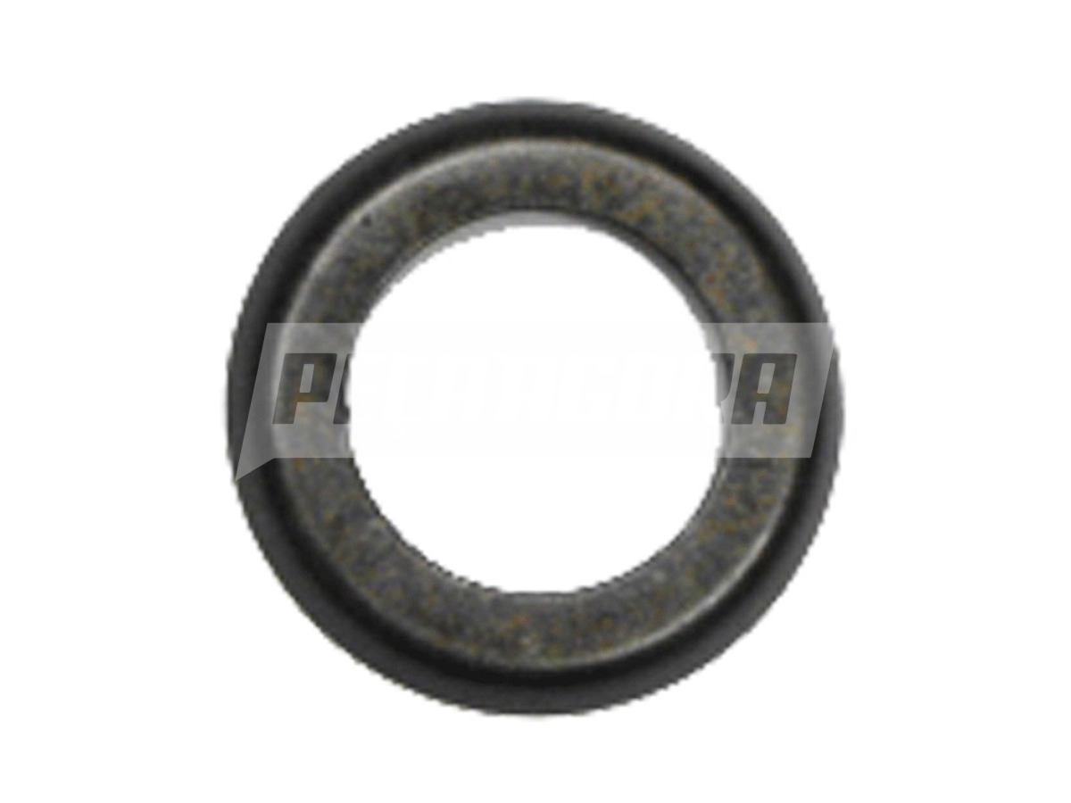 ARRUELA EIXO S FLANGE SOLDADA SPIDER INTERNO 42MM (251000173,)