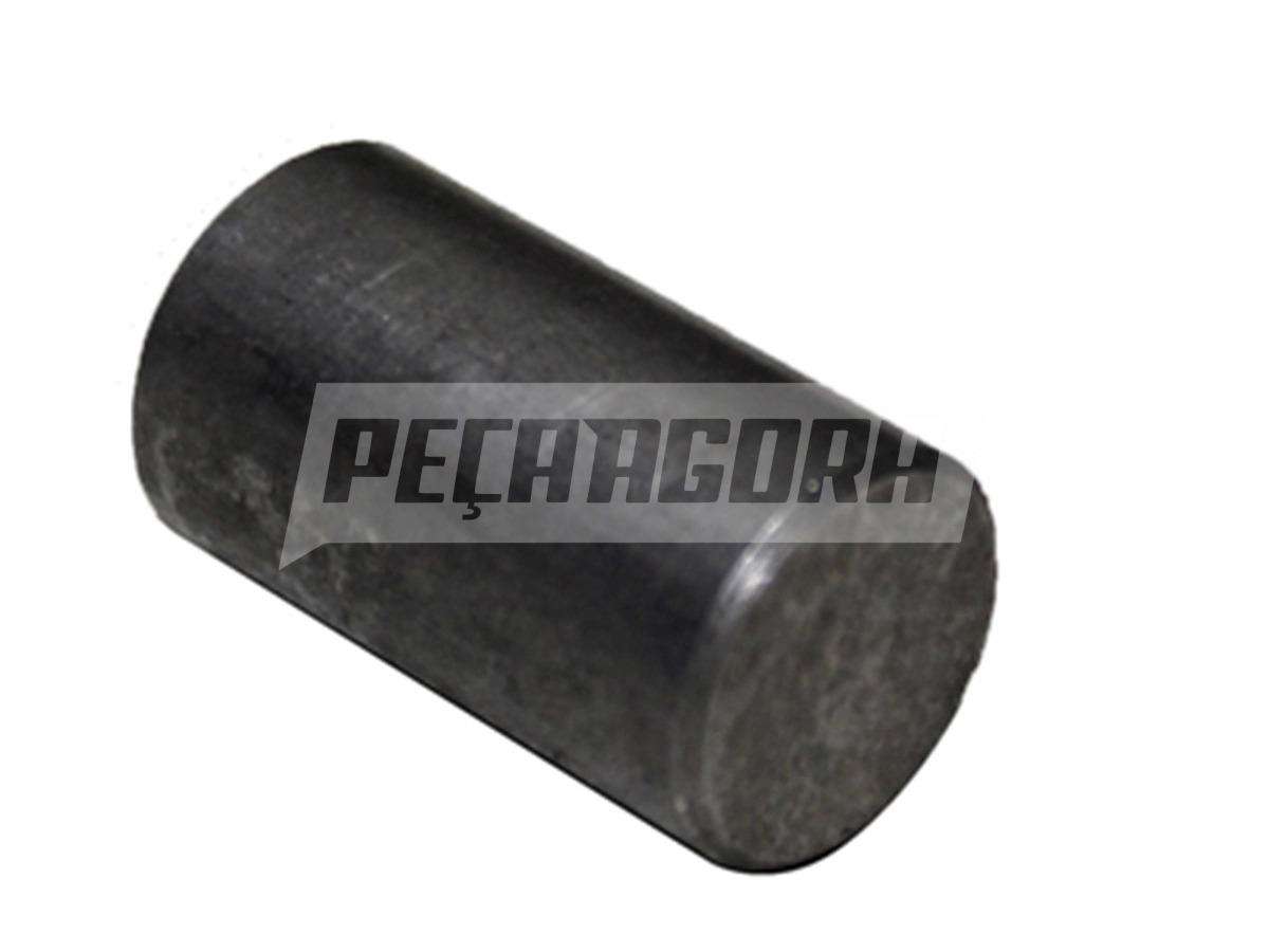 PINO FIXACAO SAPATA JOST B200S SAPATA MOVEL (260000132)