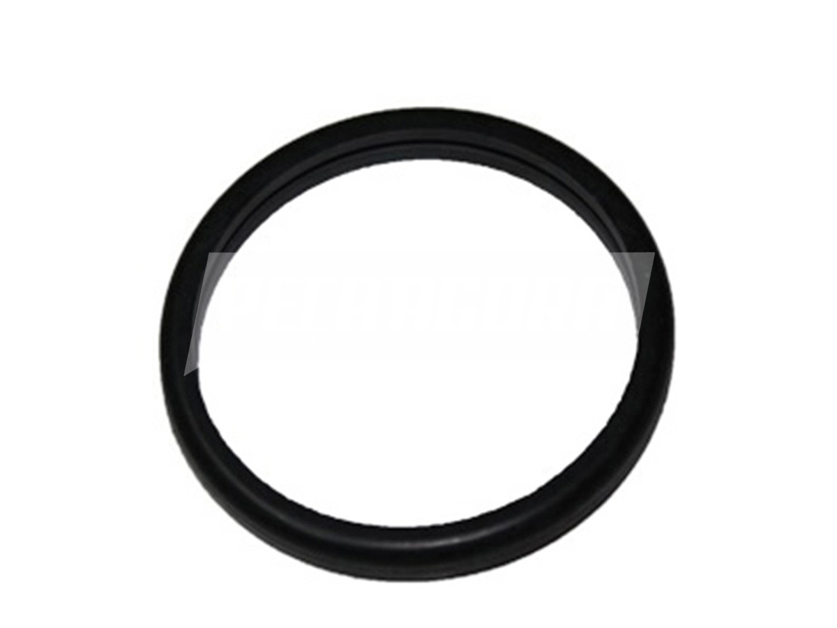 ANEL ORING VEDACAO VALVULA TERMOSTATICA VW 5140 8150 DELIVERY 05...MWM (2P012104