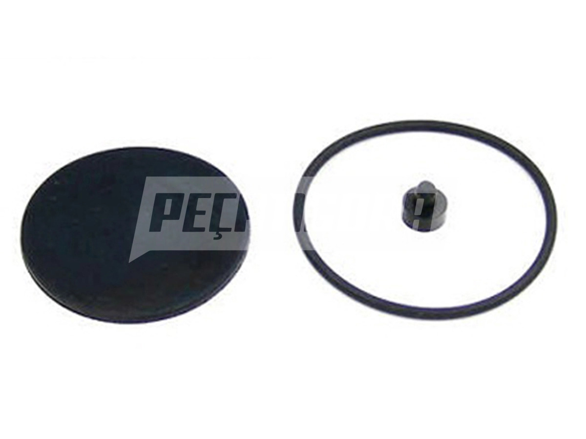 JG.REP.VALVULA DESCARGA (2RL698425,)