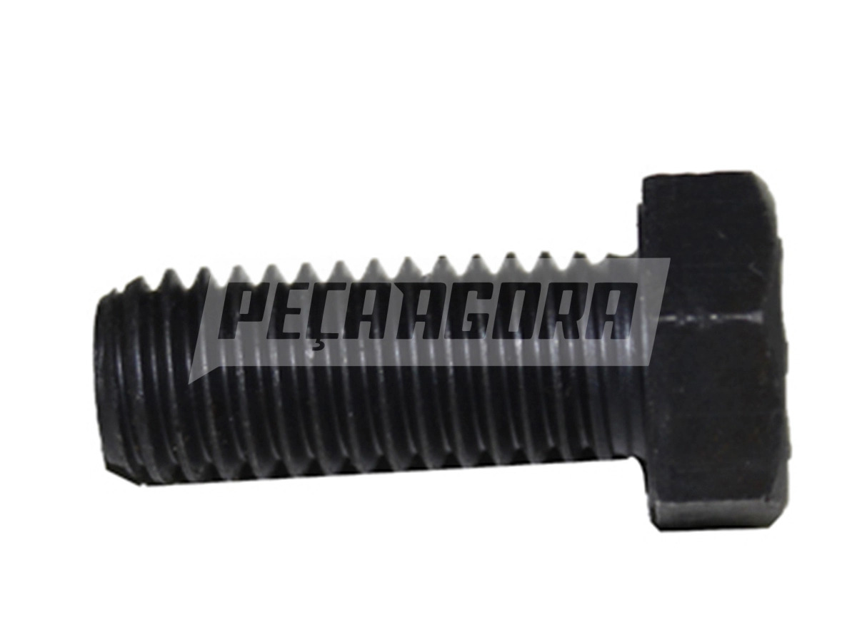 PARAFUSO SEXTAVADO 1/2X1.1/4 PARAFUSO SEXTAVADO  (420.2439)