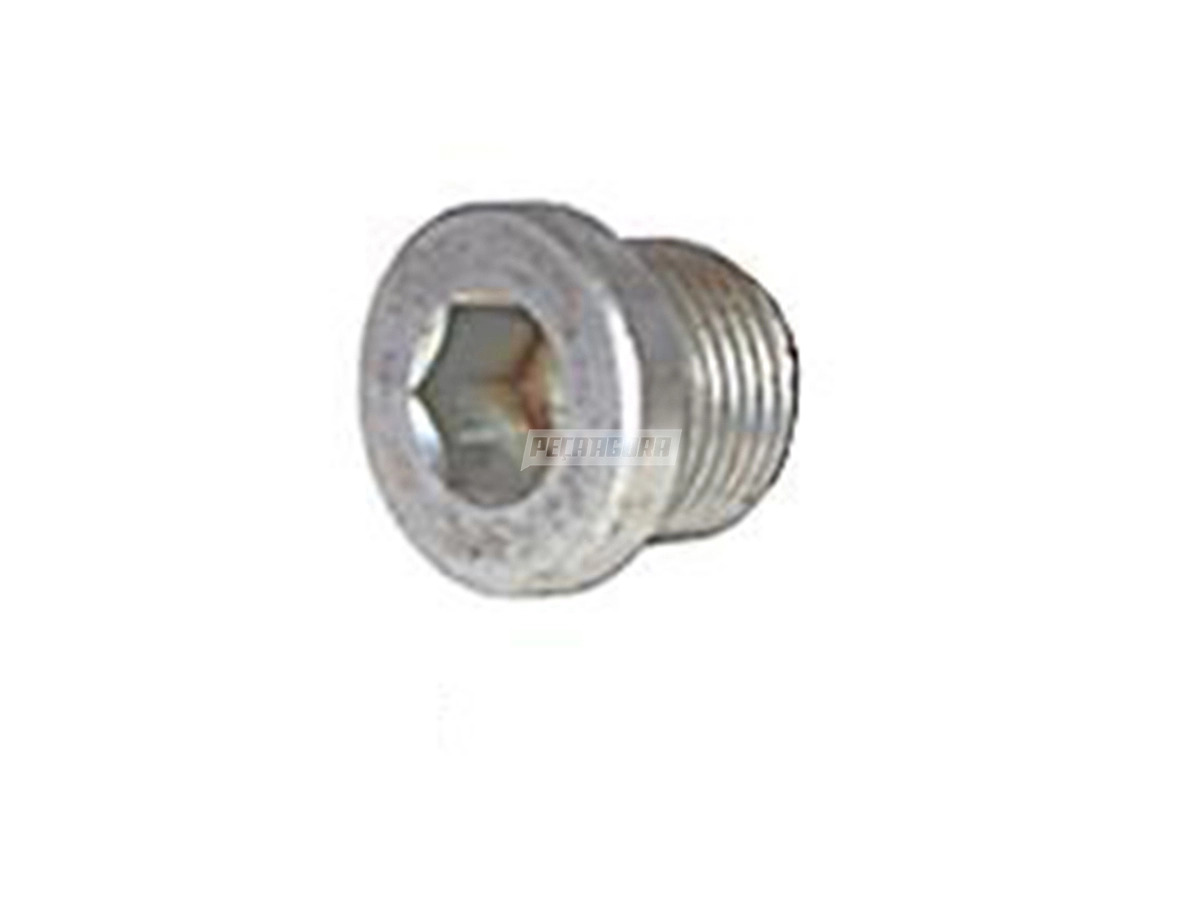 BUJAO CARTER MOTOR SEM IMA SEXTAVADO ALLE 24X1,5 MB TODOS (1159970032)