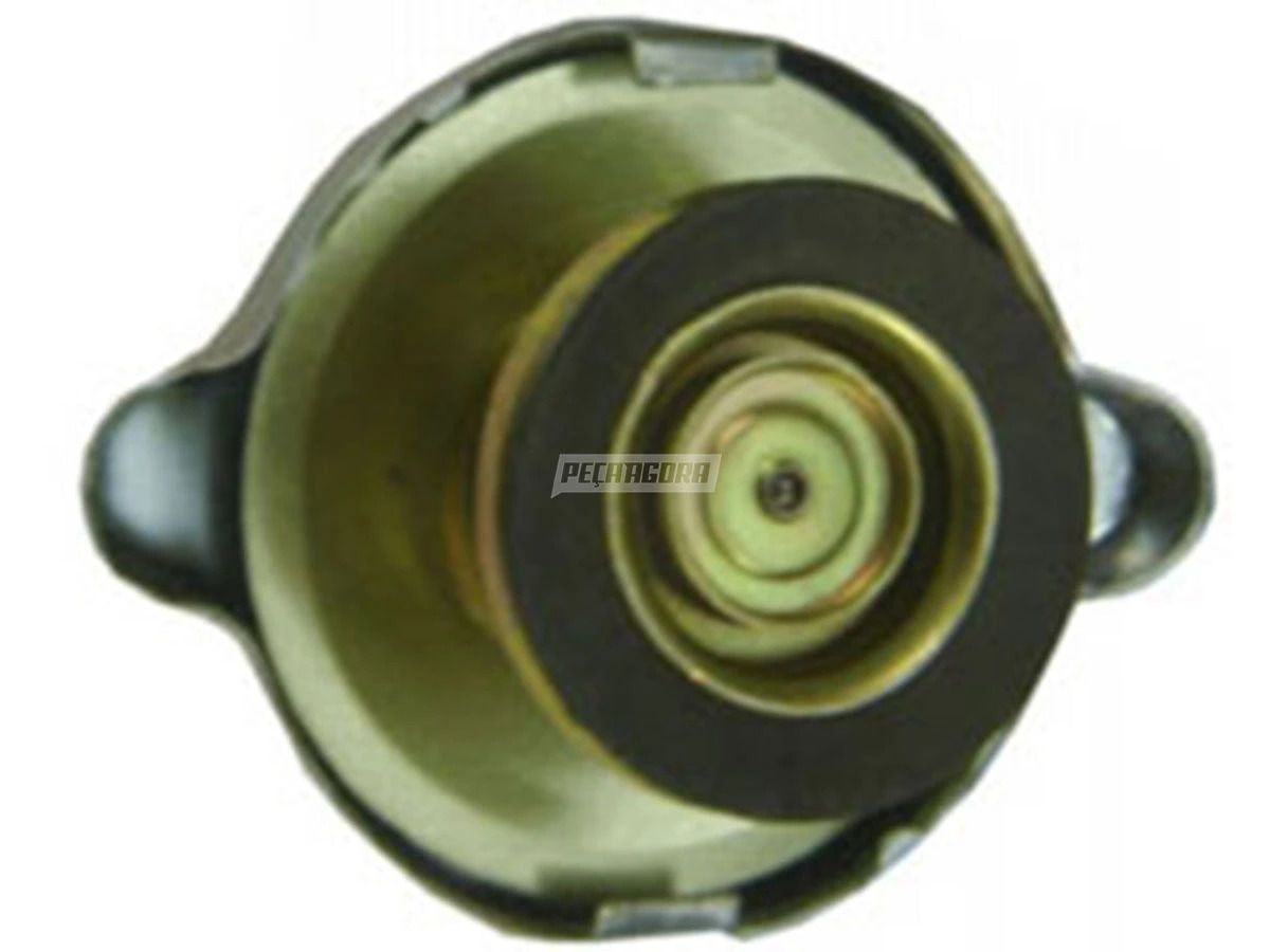 TAMPA FERRO RESERVATORIO AGUA RADIASOR COM ABA VW 35.300 FORD CARGO INFERIOR AGR