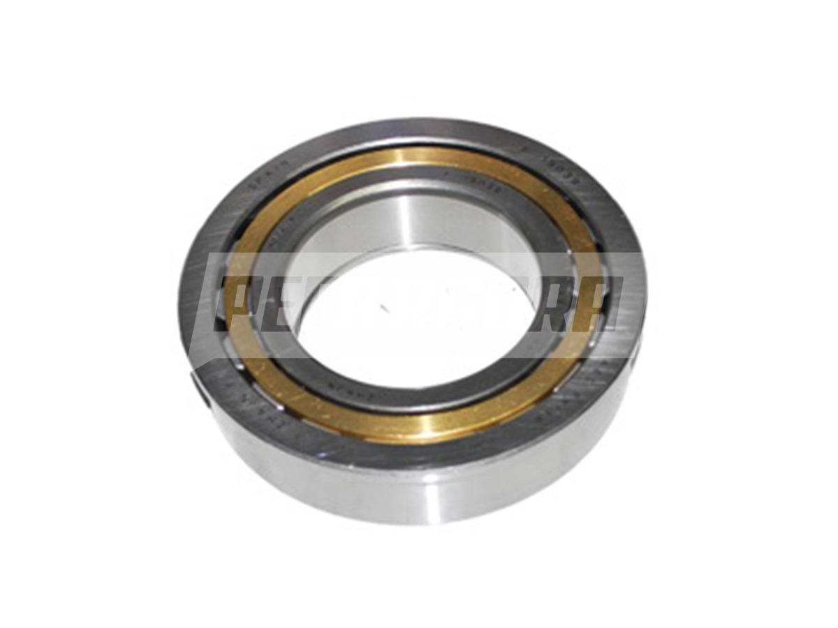 ROLAMENTO ROLETE EIXO PILOTO CAMBIO ZF 16S-1650 VW 18310 ZF 16S 1650 (2T0311133A