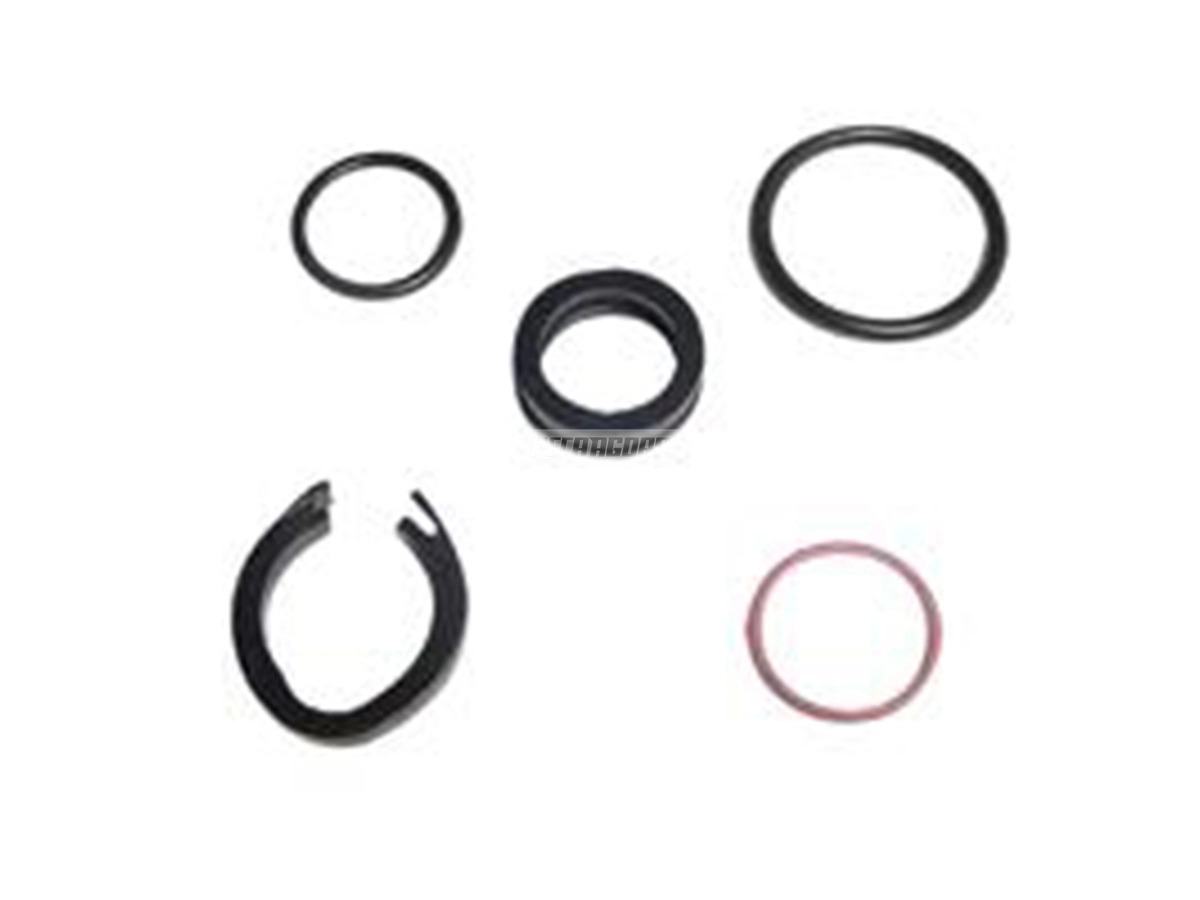 REPARO VEDACAO ENGATE RAPIDO NG 06 10MM MB VW 2004 DIANTE (6739970245,)