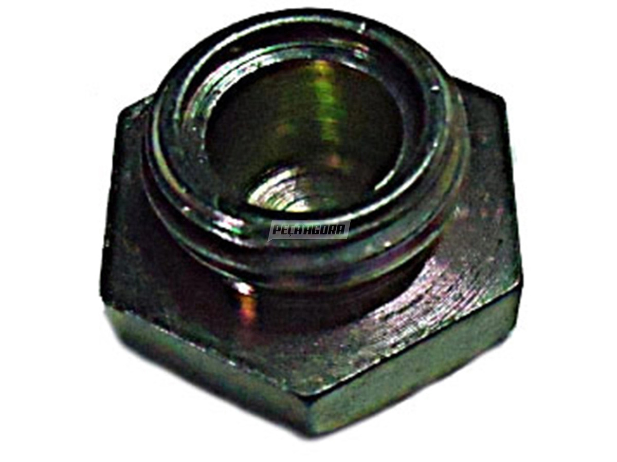 BUJAO ROSCADO TORRE CONTROLE VW FORD AGRALE PARA IVECO TECTOR EUROCARGO (2RD3014