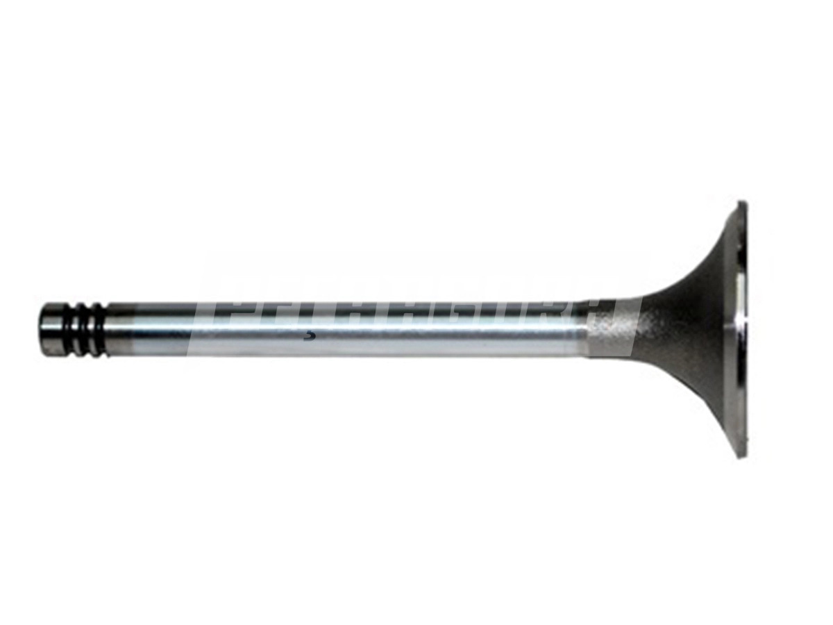 VALVULA ADMISSAO MOTOR VW 7.110S (T12109601)