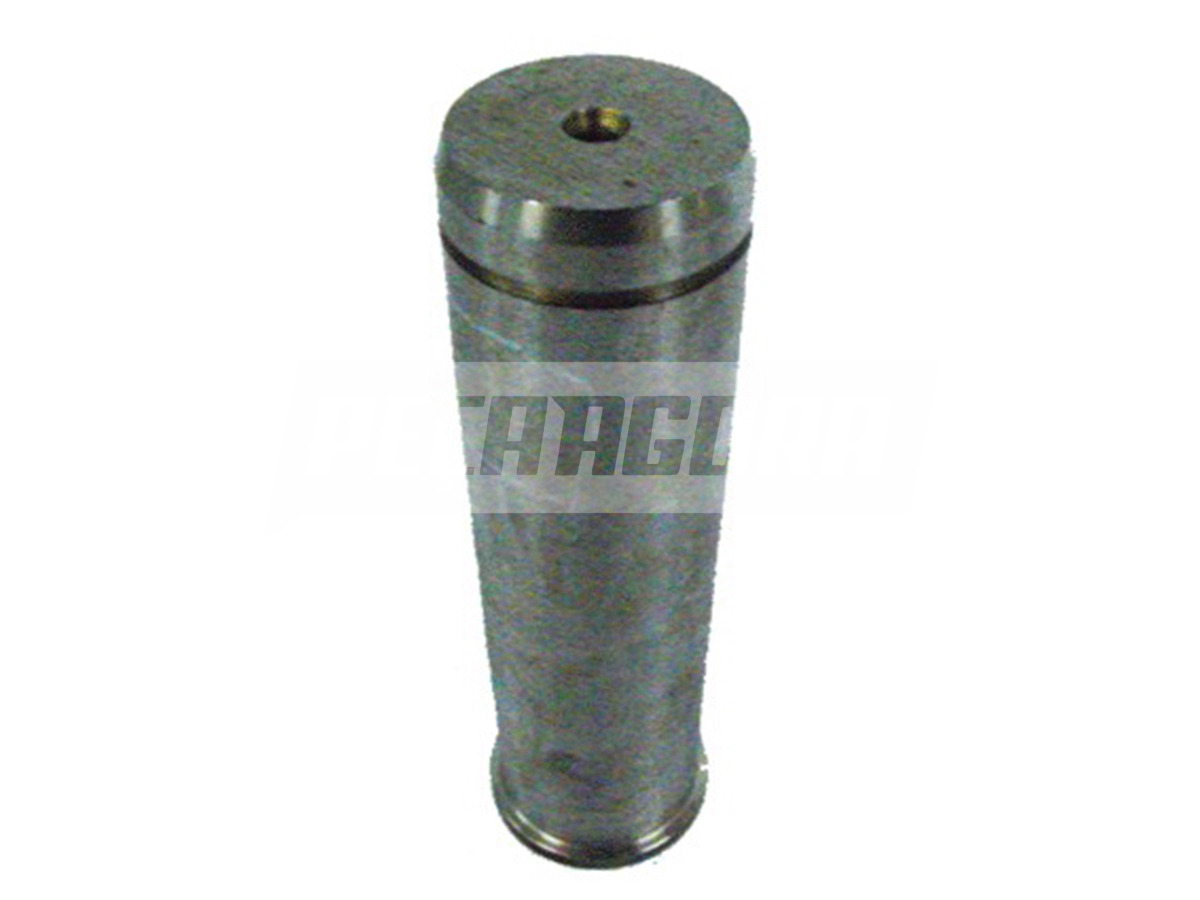 PINO GAVIAO QUINTA RODA RANDON ANTIGA (1810110002)