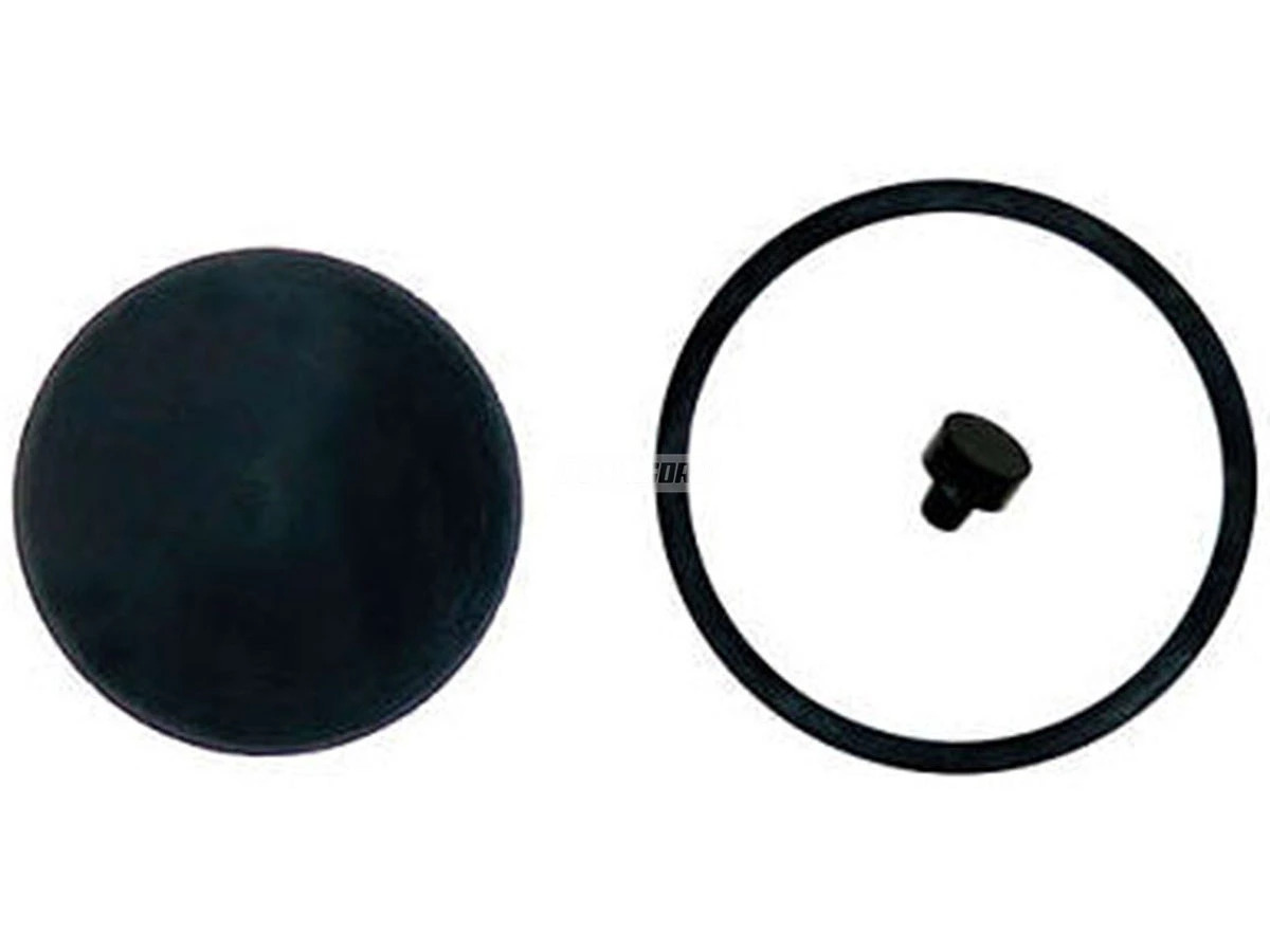 JG.REP.VALVULA DESCARGA (TAR698423A,)