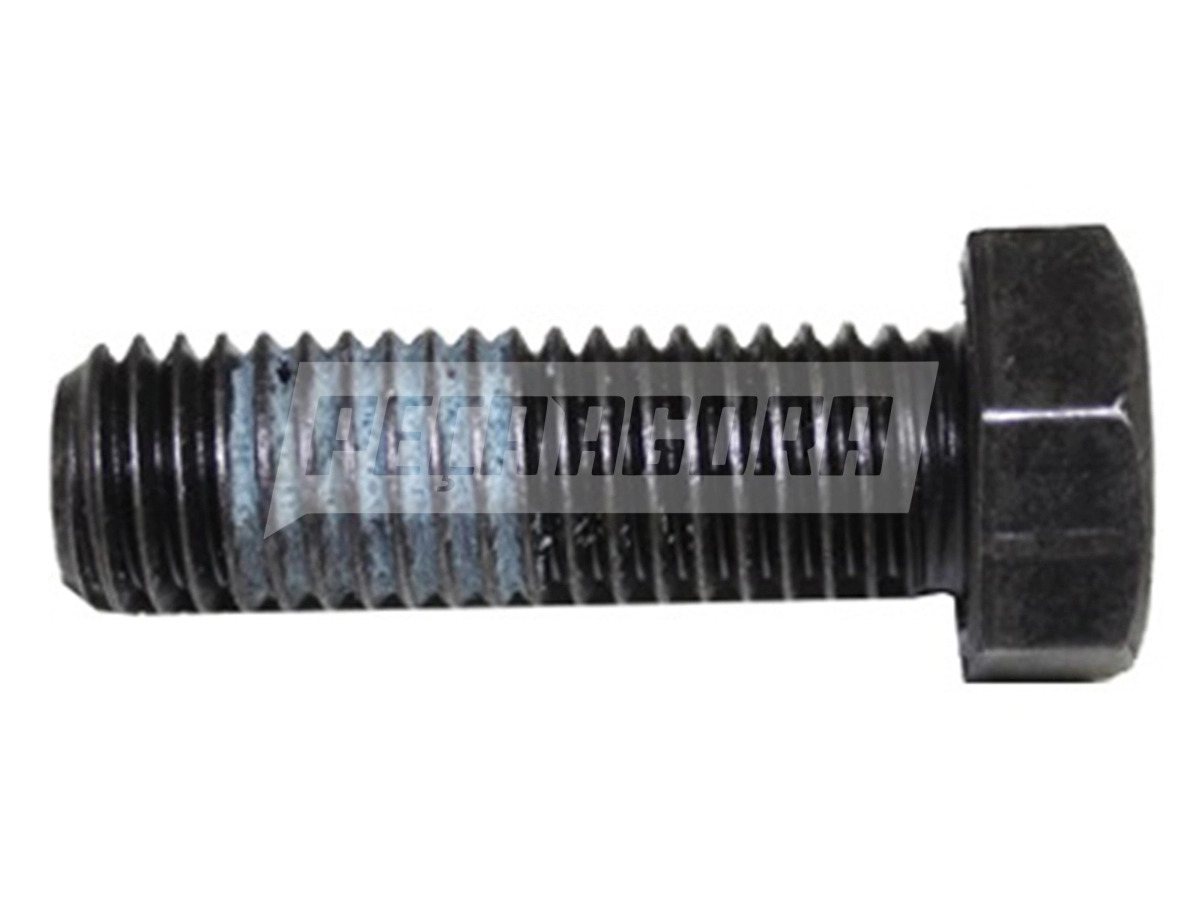 PARAFUSO LENTICULAR 5/8X2.00 VW CONSTELLATION 19-320E 19-370 25-370E 25-320 (2V2