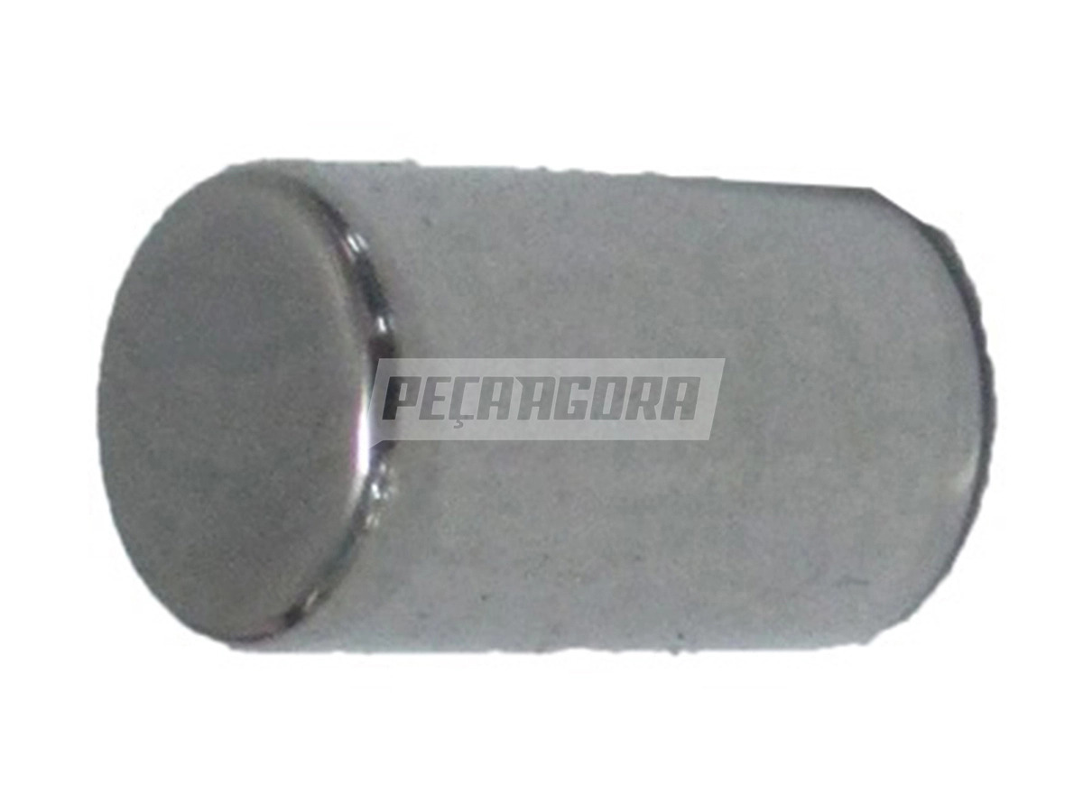 ROLETE PLANETARIO 10X16,8MM CAMBIO ZF 16S-1685 VW 25370 19370 31370 PARA IVECO S