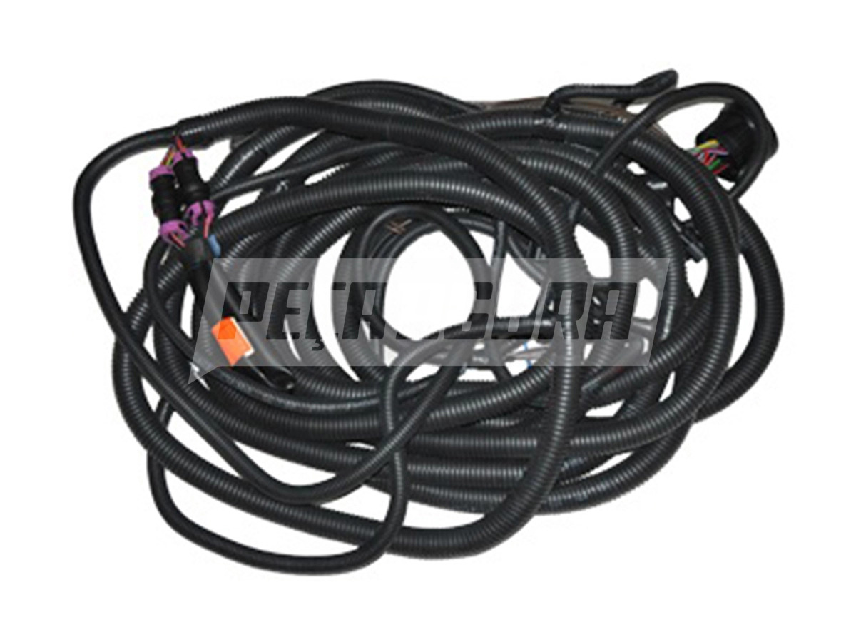 CHICOTE LANTERNA TRASEIRA (2S0971011)