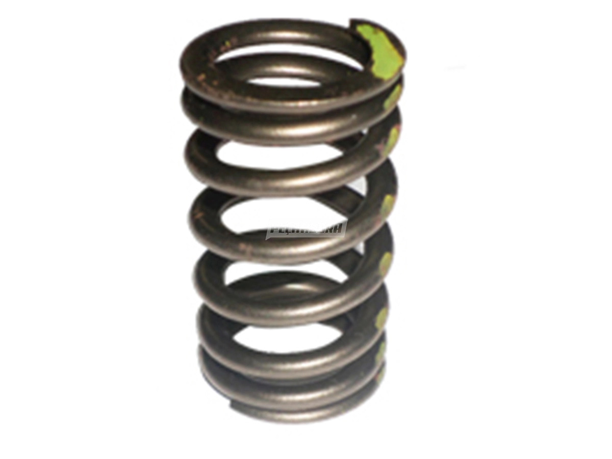 MOLA VALVULA CABECOTE MOTOR FORD CARGO 1832E 2632E 2932E 4432E 4532E 5032E 6332E