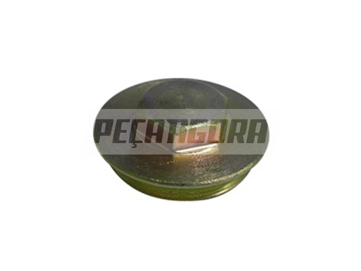 TAMPA MANGA EIXO VW 8150 9160 10160 MODERNO EIXO MERITOR (2P0407375)