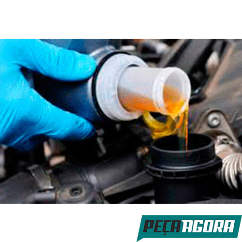 Troca do Fluido de Freio (trocafluidofreio)