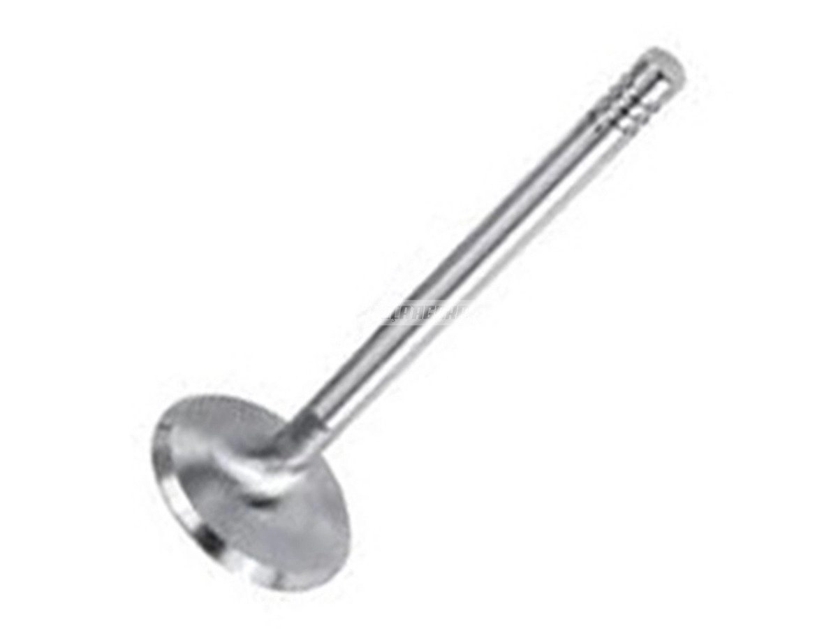 VALVULA ESCAPE MOTOR PARA IVECO DAILY 35S14 A 70C16 TODAS APOS 2008 (504081062,)