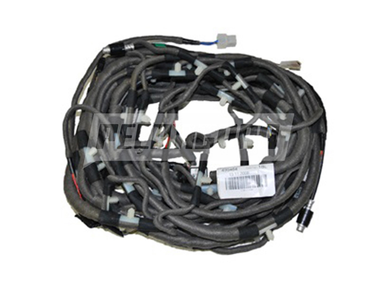 CHICOTE DA ILUMINACAO INTERNA (2R2971118)