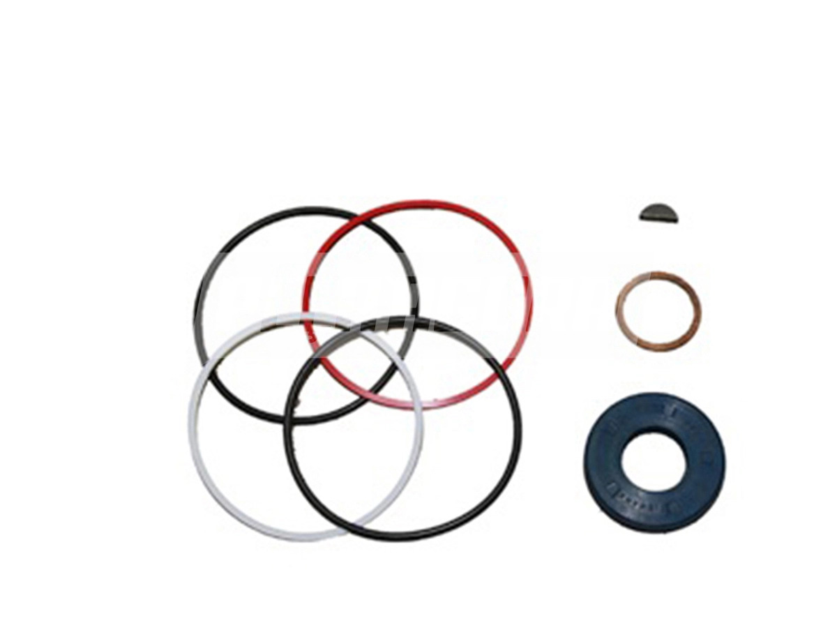 REPARO BOMBA DIRECAO HIDRAULICA ZF 7673698176 VW 11130 13130 (ZF7673698176)