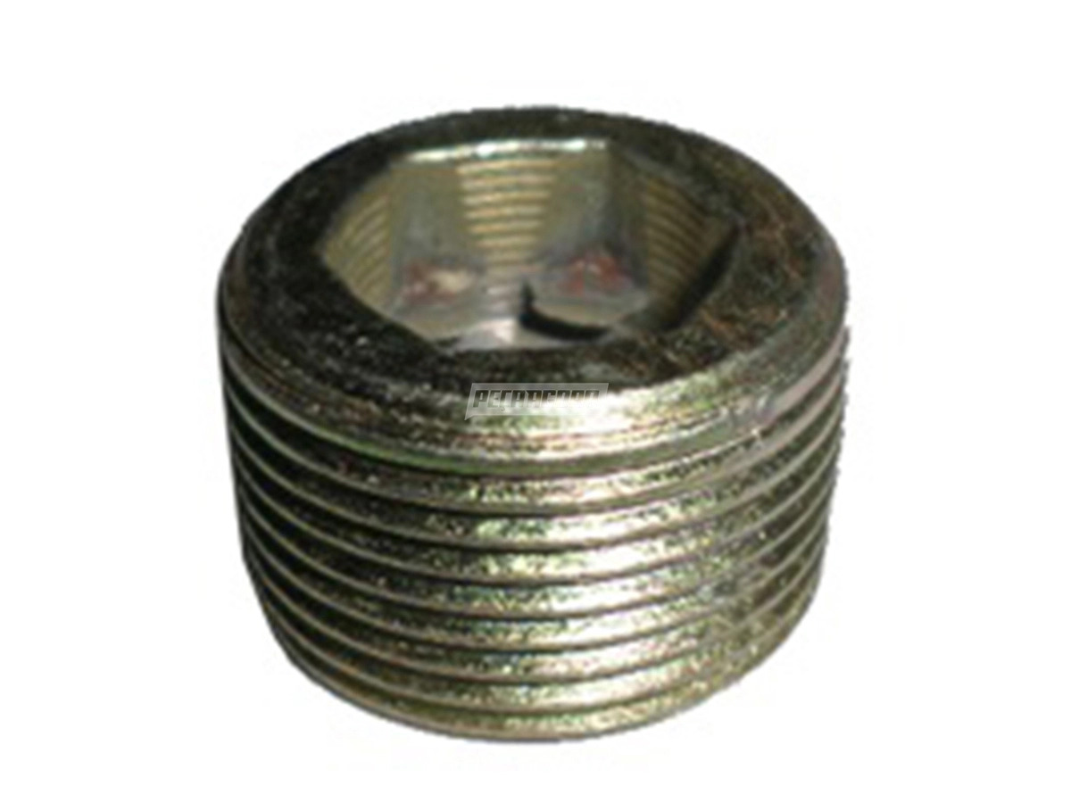 BUJAO CÂMBIO DIFERENCIAL SEM IMA 24MM MB TODOS (1869970132)