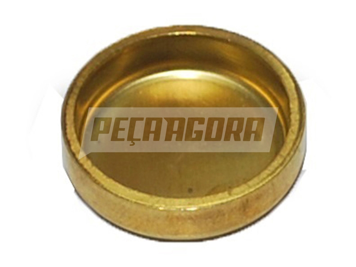 SELO CABECOTE MOTOR MWM 229 X10 22,5X6,3 PARA IVECO TECTOR EUROCARGO 170E21
 (BF