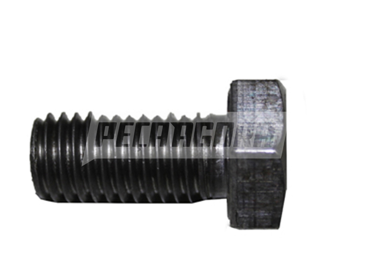 PARAFUSO SEXTAVADO M12X1.75 X 25 FERRO 5.8 . (2534)
