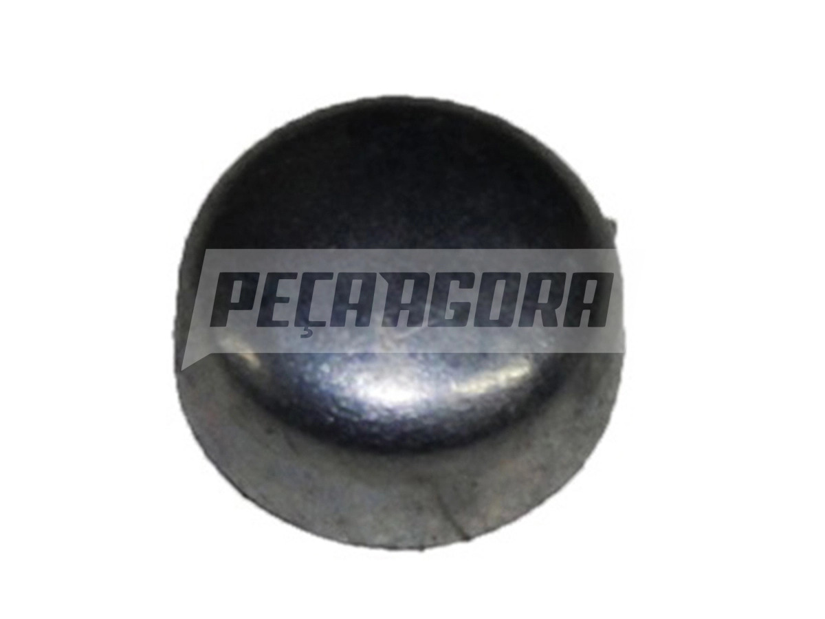 BUJAO EXPANSAO FORD CARGO 815E 1317E 1517E 1717E 1722E 2422E 2428E 2628E 2622E N