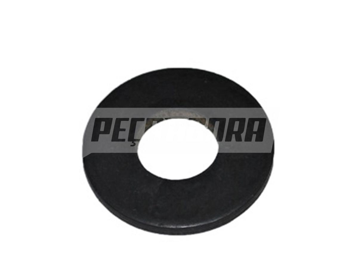 ARRUELA TAMPA TRASEIRA VW FORD TODOS (TJG699103)