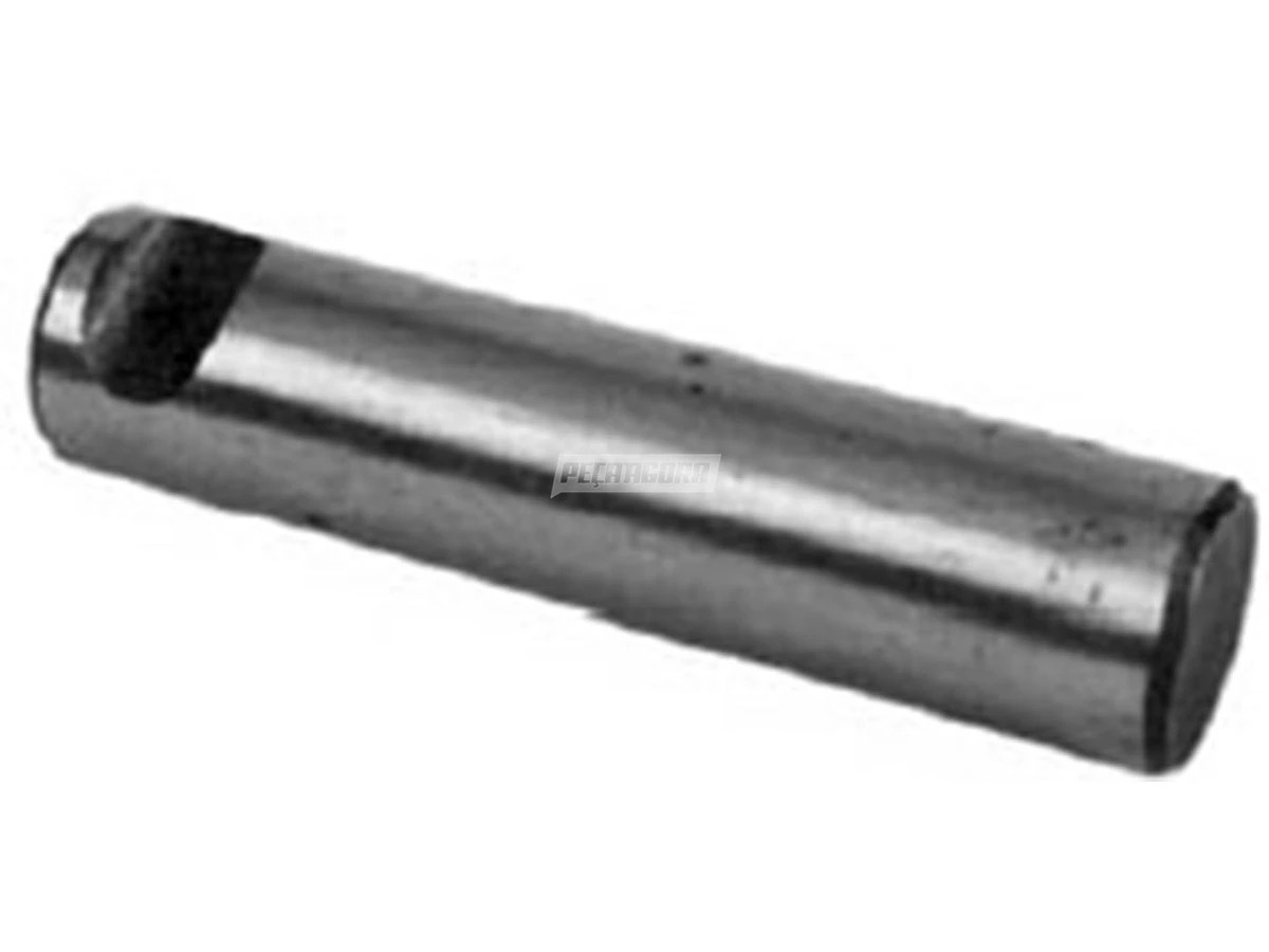 PINO MOLA TRASEIRA E DIANTEIRA PARTE DIANTEIRA COMUM FORD F4000 APOS 75 SAPAO (B