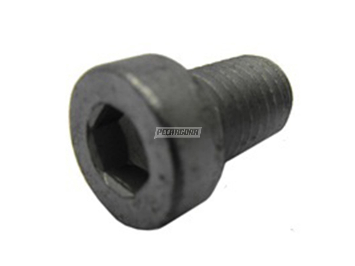 PARAFUSO ANEL DESGASTE QUINTA RODA JOST E MAXION 2'' ALLEN M14X2,00X22M (2600000